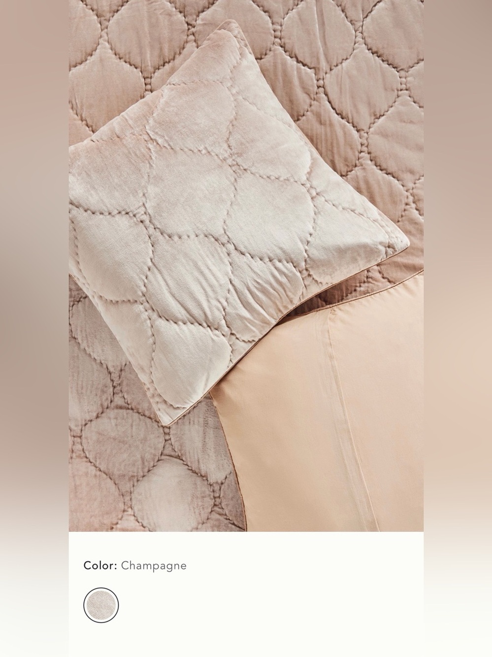 New anthropologie Claire cotton velvet satin euro sham champagne beige 26 x 26